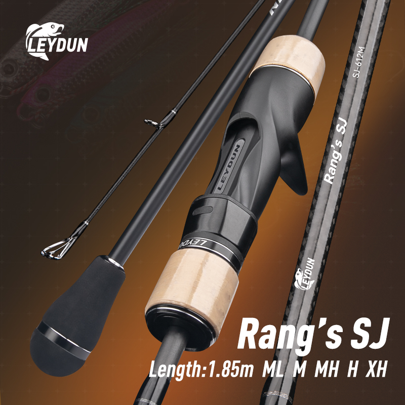 LEYDUN Rang's SJ Slow Jigging  - Fishing Rod Surf recensie en prijs
